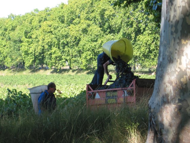 canal_des_deux_mers_713