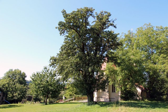 roemer_1988-Ruhstorf-Siebenschlaferkirche