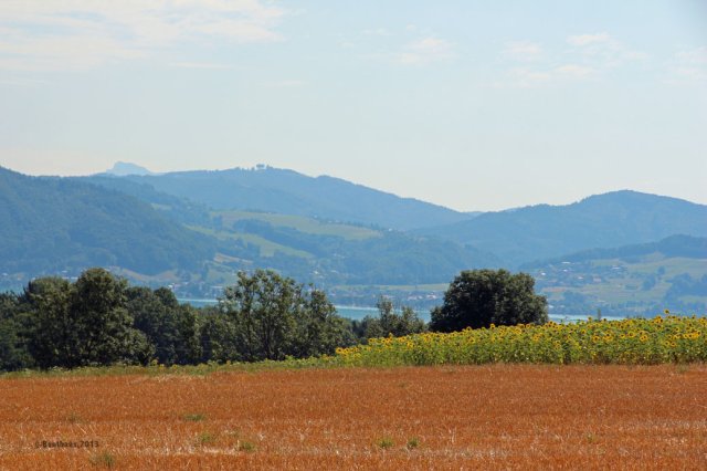 roemer_2157-St-Georgen-im-Attergau