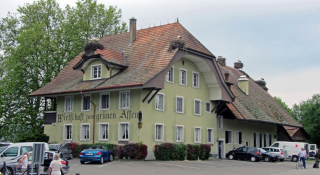 05-23-Biel-3-0008-Storchendorf-Altreu