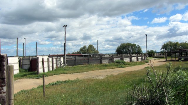 06-12-AiguesMortes-23-0085-Arles-Gimeaux-Bernacles-StGilles-Arena
