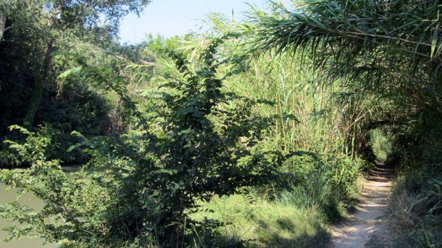 06-17-LeSomail-28-0031-Fonserannes