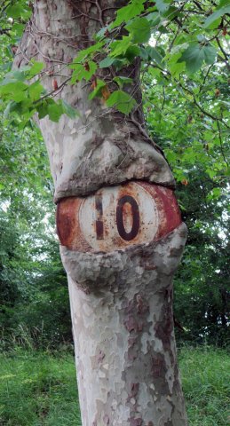 06-19-Castelnaudary-30-0047-Ecluse-Bram