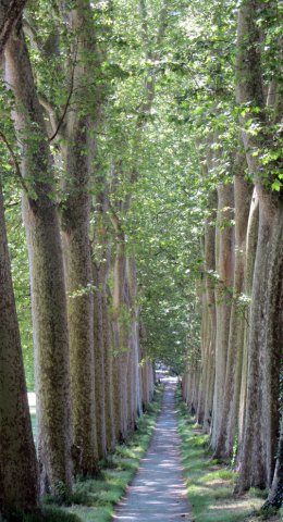 06-20-Toulouse-31-0042-Seuil-de-Naurouze