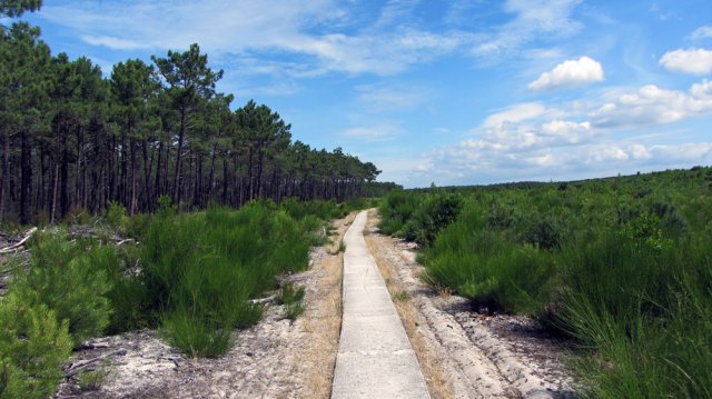 07-02-Soulac-43-0013-Carcans